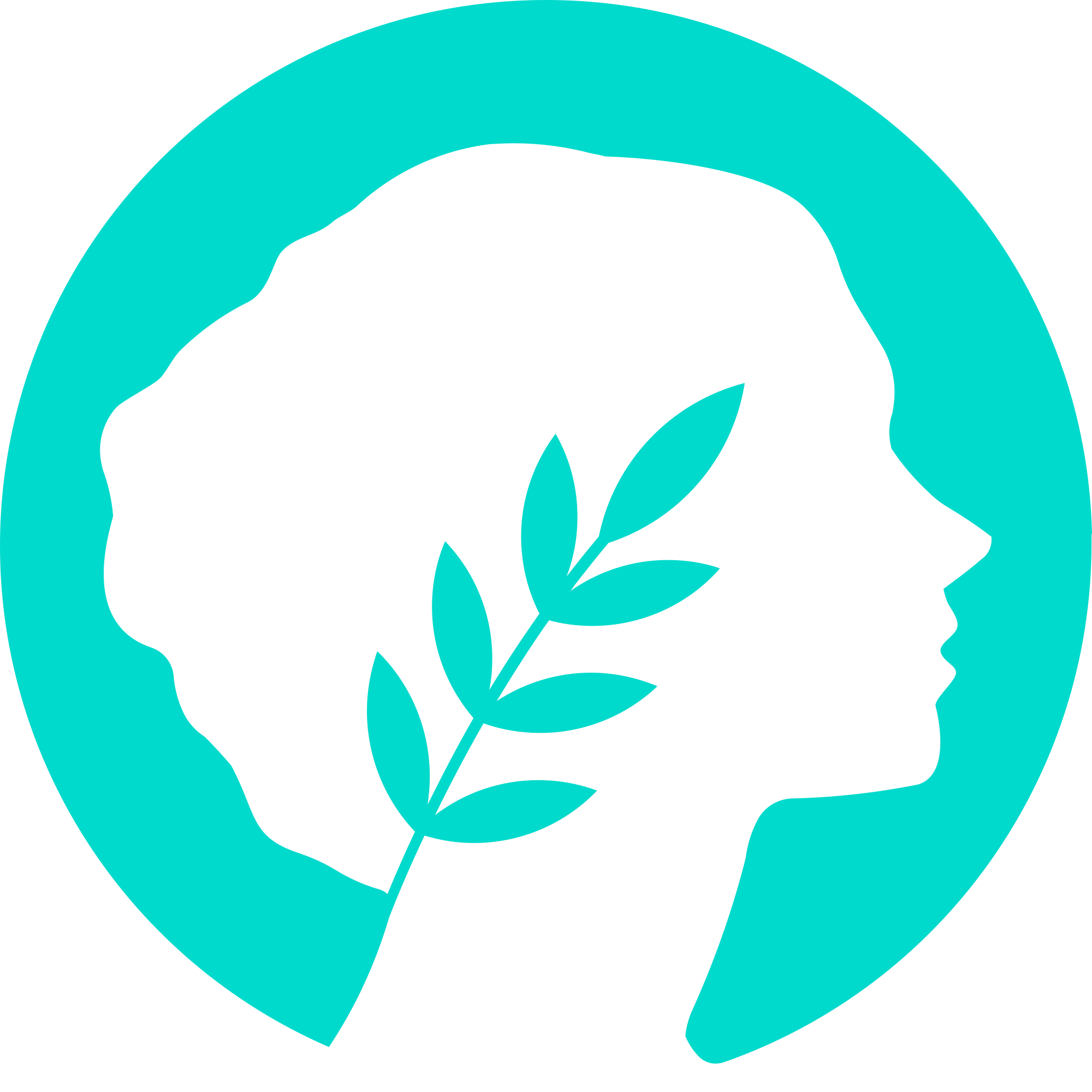 Metis Andromeda logo